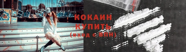 не бодяженный Горно-Алтайск