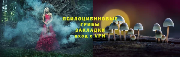 не бодяженный Горно-Алтайск
