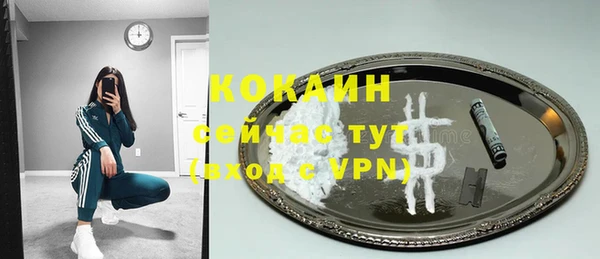 винт Горняк