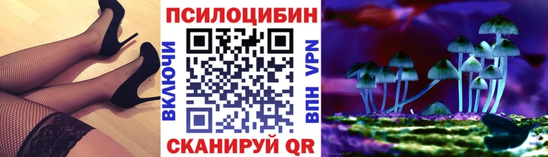 Псилоцибиновые грибы прущие грибы  Сочи 